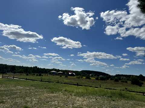 участок по адресу Поляна Лісова, 9