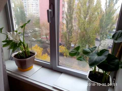 кімната за адресою Рональда Рейгана вул. (Теодора Драйзера), 18