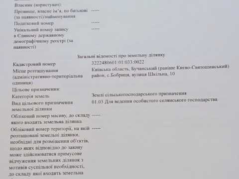 участок по адресу Шкільна, 10