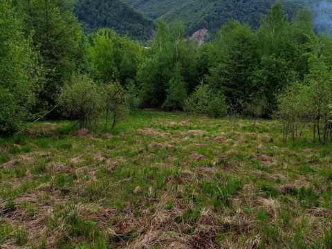 ділянка за адресою 