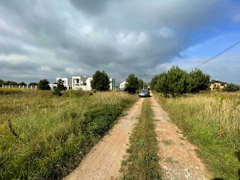 ділянка за адресою Світла