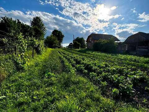 будинок за адресою с. Гончарівка, Шевченка, 58