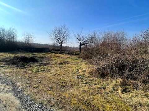 участок по адресу Мукачівська