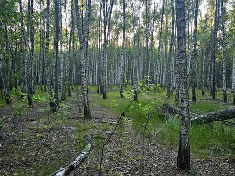 будинок за адресою с. Лубське, Лубська, 1