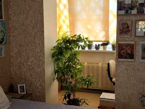 квартира по адресу Синельниково, мира, 11