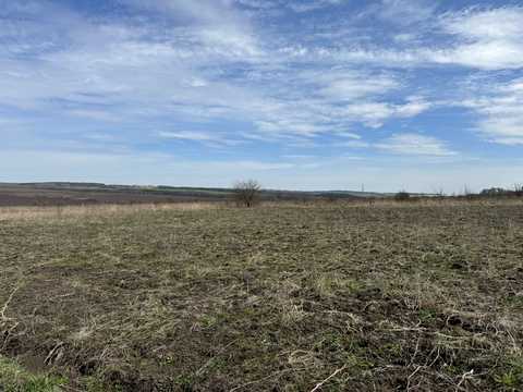 ділянка за адресою с. Лісові Гринівці, 