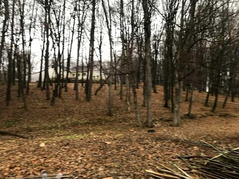 ділянка за адресою Красилів, Лісова, 1