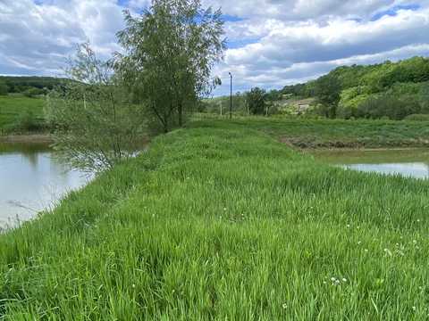 ділянка за адресою с. Тисовець, Пантівська