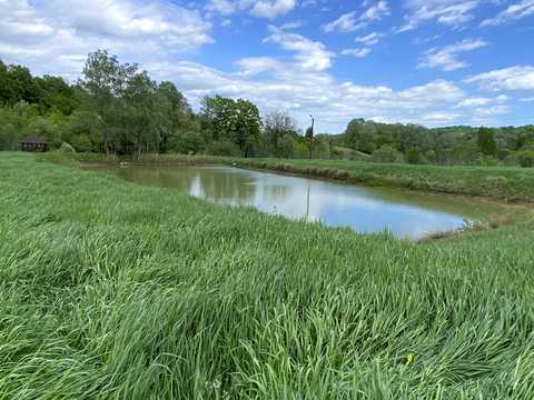 ділянка за адресою с. Тисовець, Пантівська
