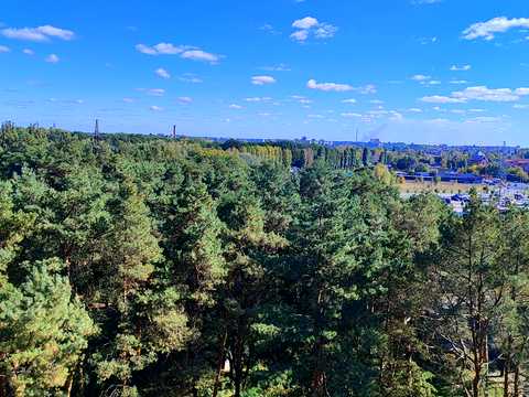 квартира по адресу Любечская ул., 104