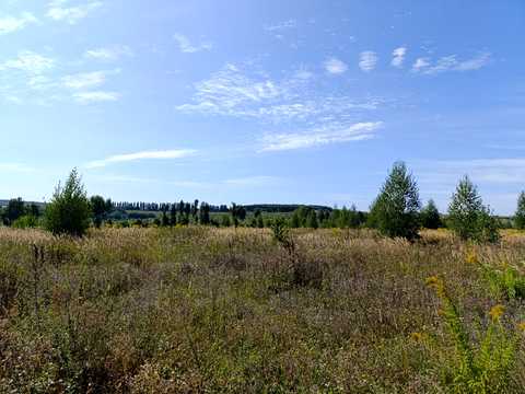 ділянка за адресою Центральна вул.