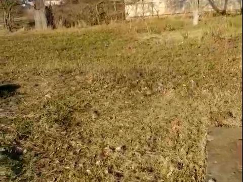 ділянка за адресою Леси Украинки