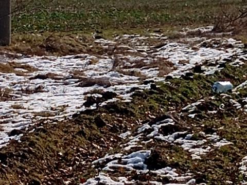 участок по адресу Академика Сахарова ул.