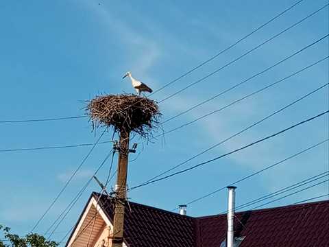 участок по адресу Зарічна, 6