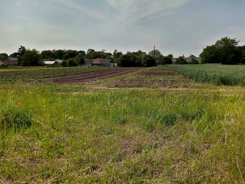 ділянка за адресою Нове село