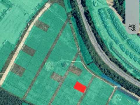 ділянка за адресою Михайла Зорія