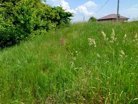 ділянка за адресою Поміркова
