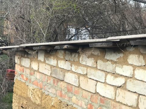 дом по адресу Каштановая ул. (Щорса), 25