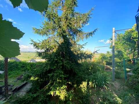 будинок за адресою Каменярів вул.