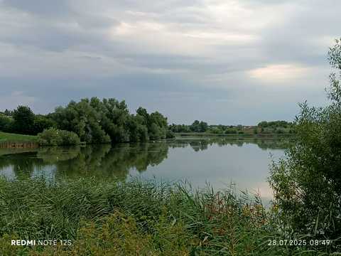 будинок за адресою Шкільна, 12