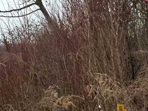ділянка за адресою Тюльпанова