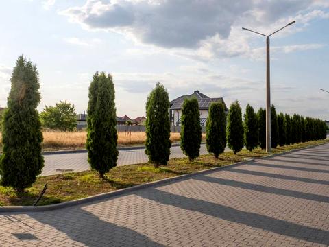 дом по адресу дайберг, 50