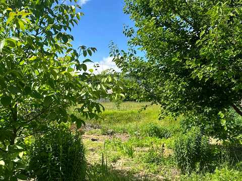 ділянка за адресою с. Киїнка, Ягідна