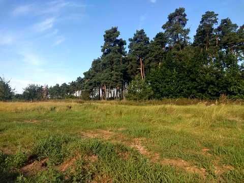 ділянка за адресою Гайова, 42