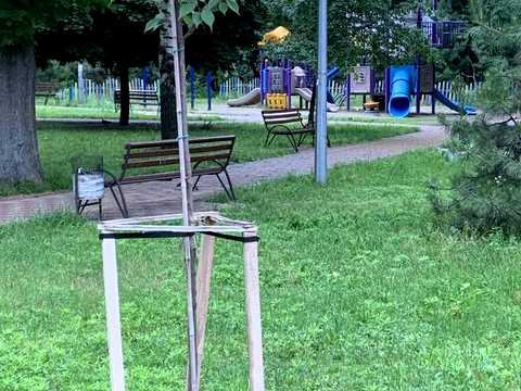 квартира за адресою Уманська вул., 29