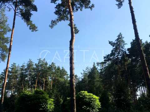 будинок за адресою Бучанський