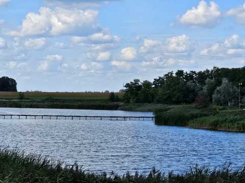 ділянка за адресою с. Бирлівка,