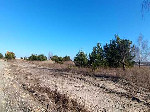 ділянка за адресою Каштанова