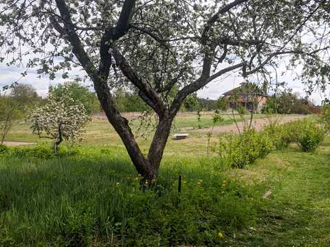 ділянка за адресою козацька
