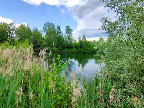 ділянка за адресою Центральна вул., 777