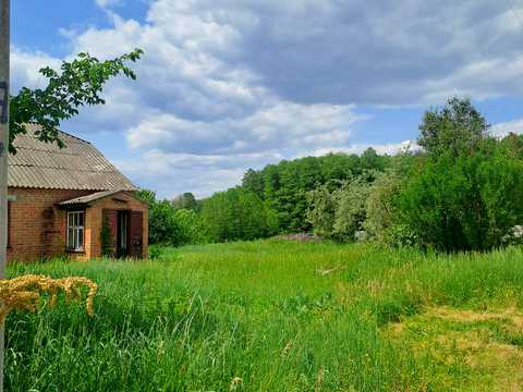 участок по адресу Вільхова, 6