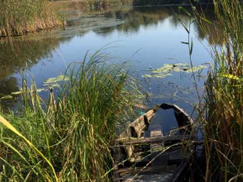 ділянка за адресою с. Матвіївка, 