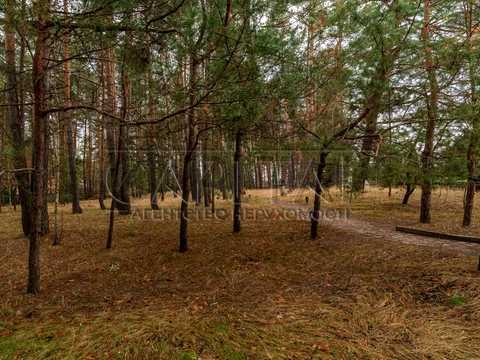 дом по адресу фастівський