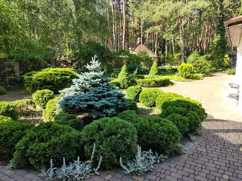 дом по адресу Лісова, 13