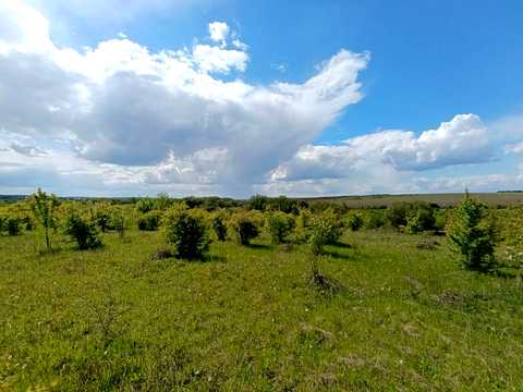 ділянка за адресою Хмельницький, вище вул. Затишної