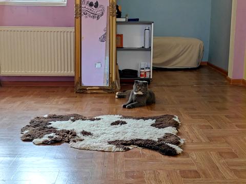 квартира за адресою Римарська вул., 19
