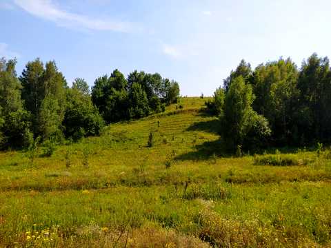 участок по адресу Садовая, 8