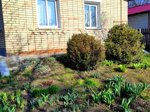 будинок за адресою Короленко