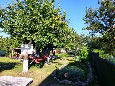 дом по адресу Ст Восход