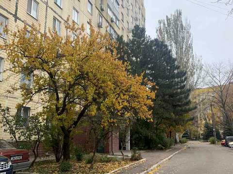квартира по адресу Набережная Победы ул., 130