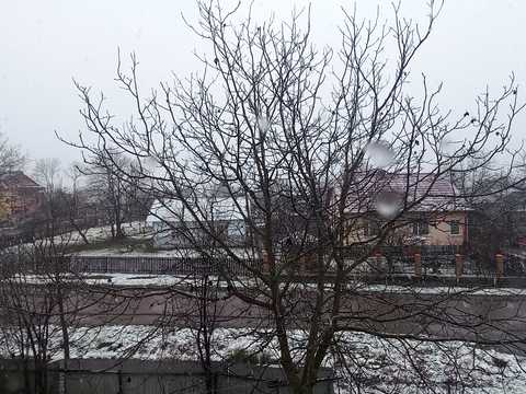 квартира за адресою с. Копанки, Лесі Українки, 1