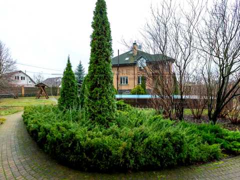 дом по адресу Фастівський район