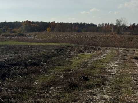 будинок за адресою Гетьманська, 8