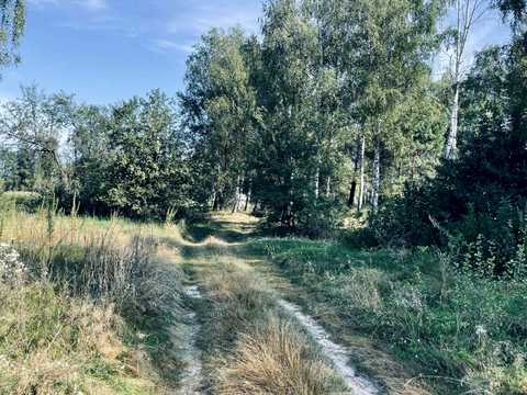 участок по адресу Озерна