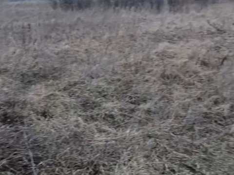 ділянка за адресою Хмільник, Івана Сірка, 31