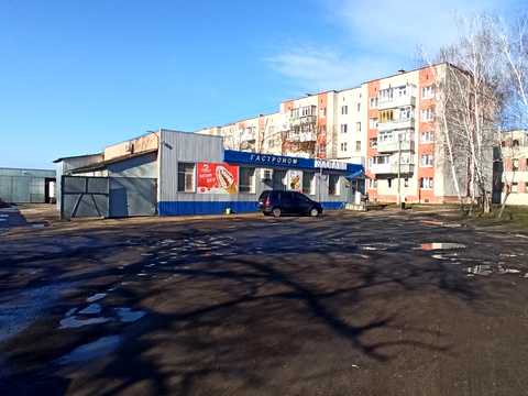 участок по адресу Елеваторна ул.